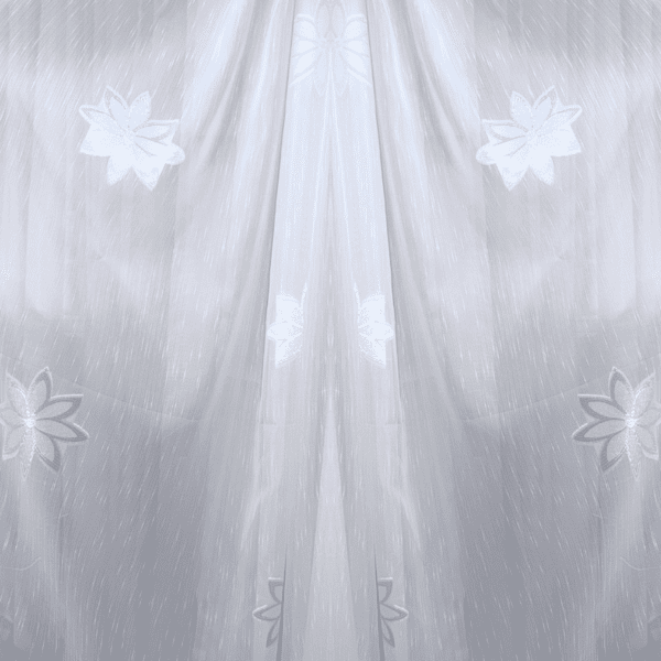 Imagine produs